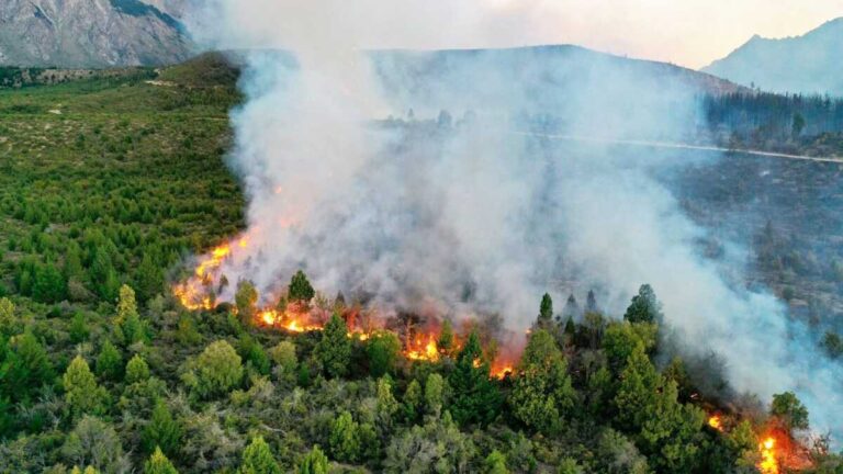 incendios