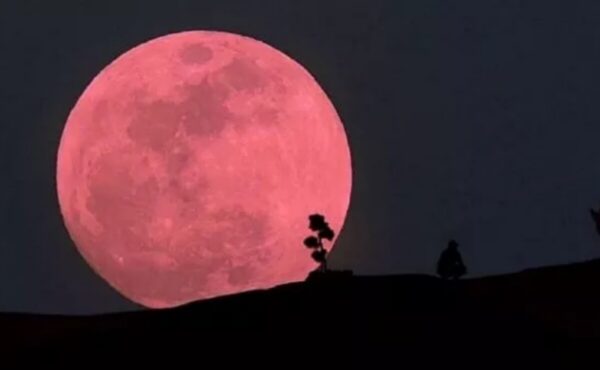 Luna Rosa