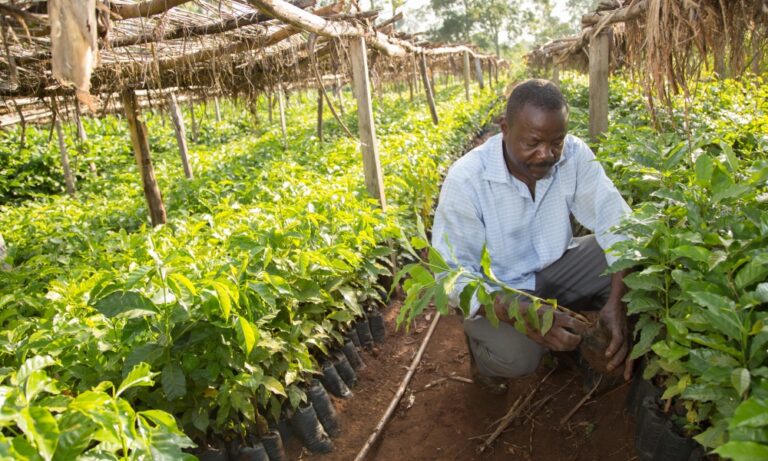 La Cosmopolitana: La importancia de la agricultura regenerativa