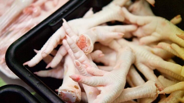 Científicos aprovechan el colágeno de ingredientes reciclables