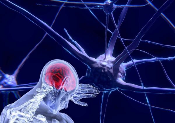 Inventan un ordenador que funciona con neuronas humanas