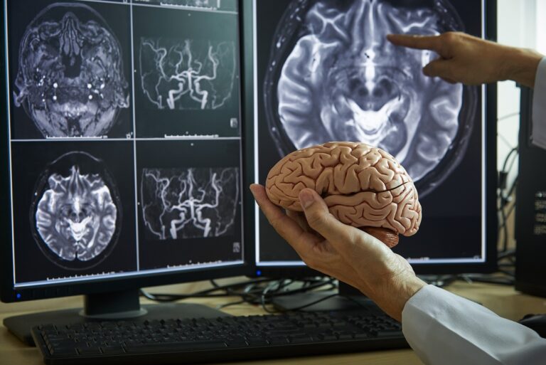 Crean cerebro fantasma en forma de cubo impreso en 3D