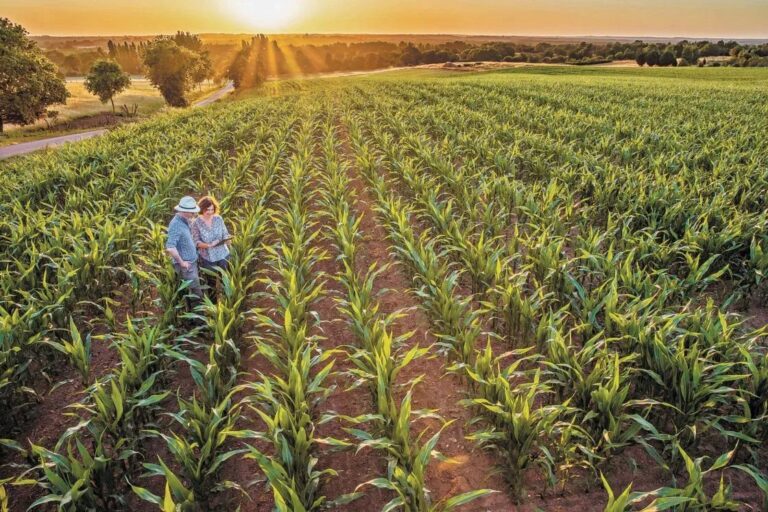 Blockchain y trazabilidad digital transforman agricultura: Luis Doporto Alejandre
