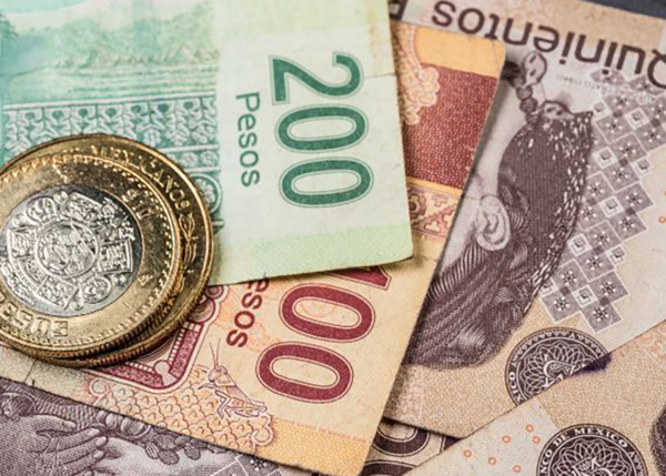 Escampa implementa tecnología para romper brecha económica