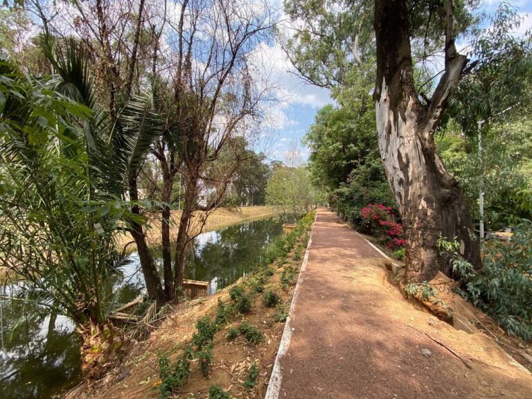SACMEX galardonado con el Premio Internacional Desing Awards 2024