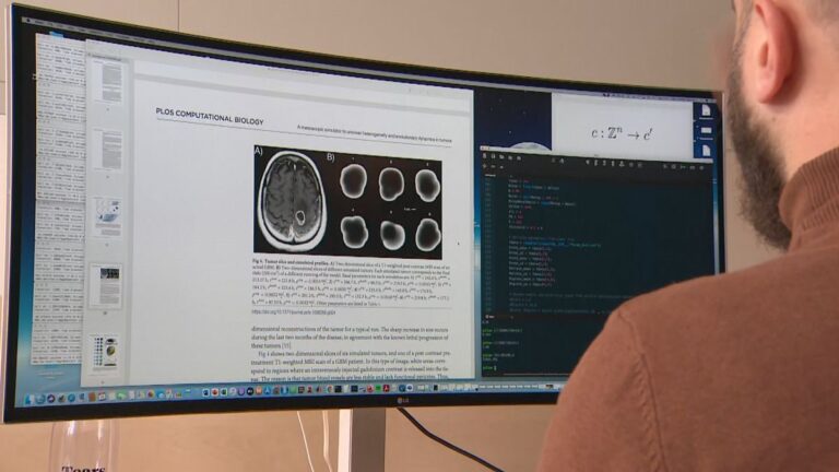 Crean ‘gemelos digitales’ de pacientes con cáncer