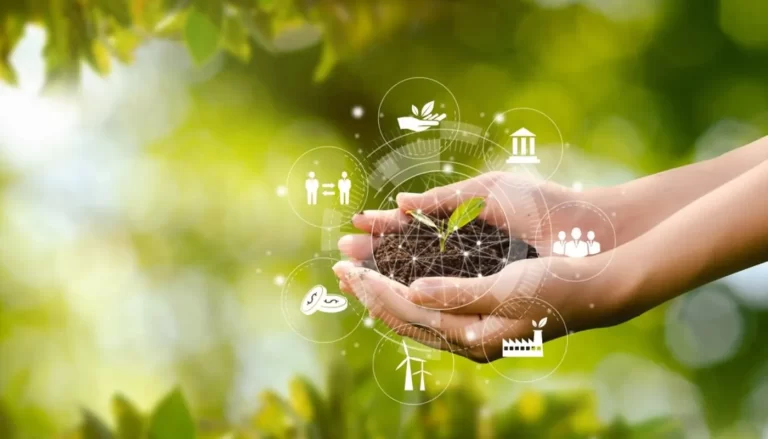 Revolución de la Industria Alimentaria para 2025: La Cosmopolitana