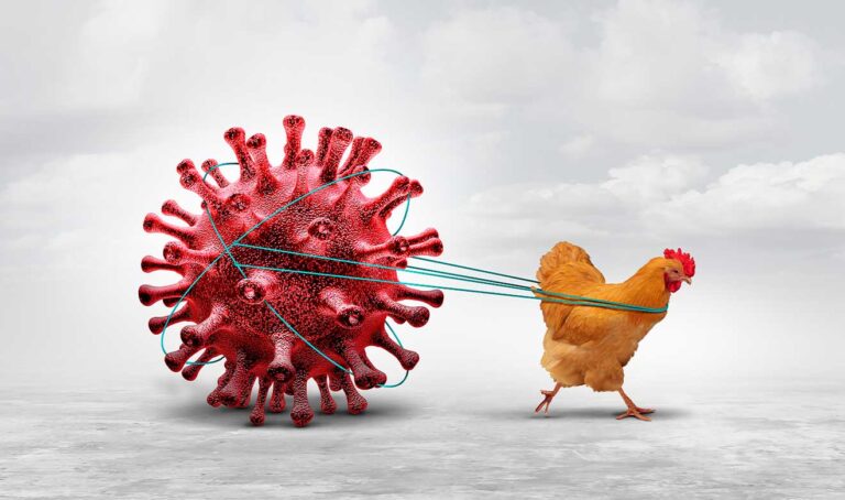 Confirman primer caso de H5N1 en México