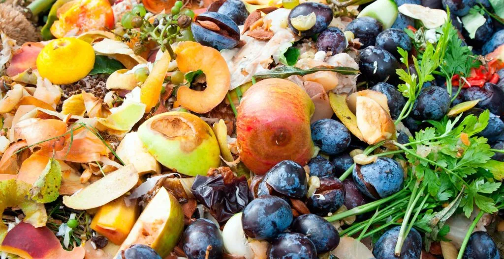 Grupo Kosmos examina modelo europeo que optimiza cadena alimentaria