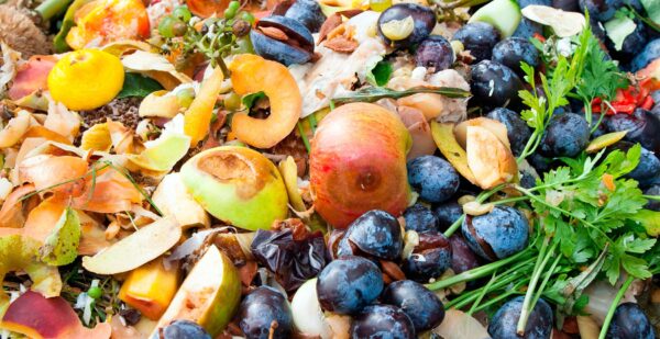 Grupo Kosmos examina modelo europeo que optimiza cadena alimentaria