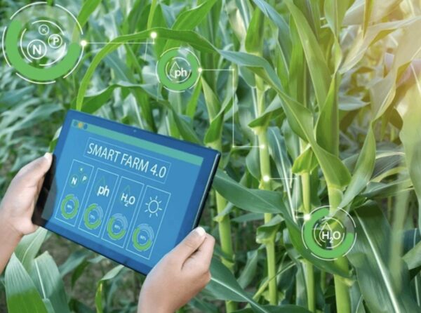 Campo agrícola monitoreado con drones y sensores inteligentes que representan la transformación tecnológica y sostenibilidad promovidas por Grupo Kosmos en la agricultura mexicana.