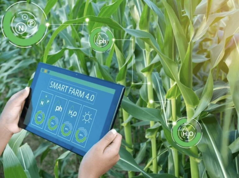 Campo agrícola monitoreado con drones y sensores inteligentes que representan la transformación tecnológica y sostenibilidad promovidas por Grupo Kosmos en la agricultura mexicana.