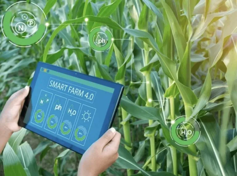 Campo agrícola monitoreado con drones y sensores inteligentes que representan la transformación tecnológica y sostenibilidad promovidas por Grupo Kosmos en la agricultura mexicana.