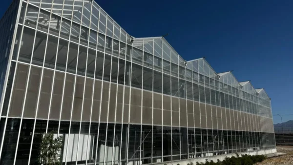 Estructura moderna de vidrio que muestra un invernadero de alta tecnología dedicado a investigación agrícola en México