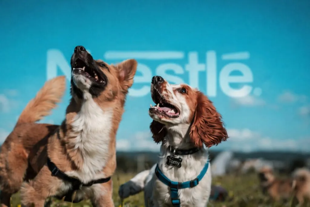 Campaña Nestlé mascotas en Argentina premia animales con nombres de productos y dinámica digital innovadora