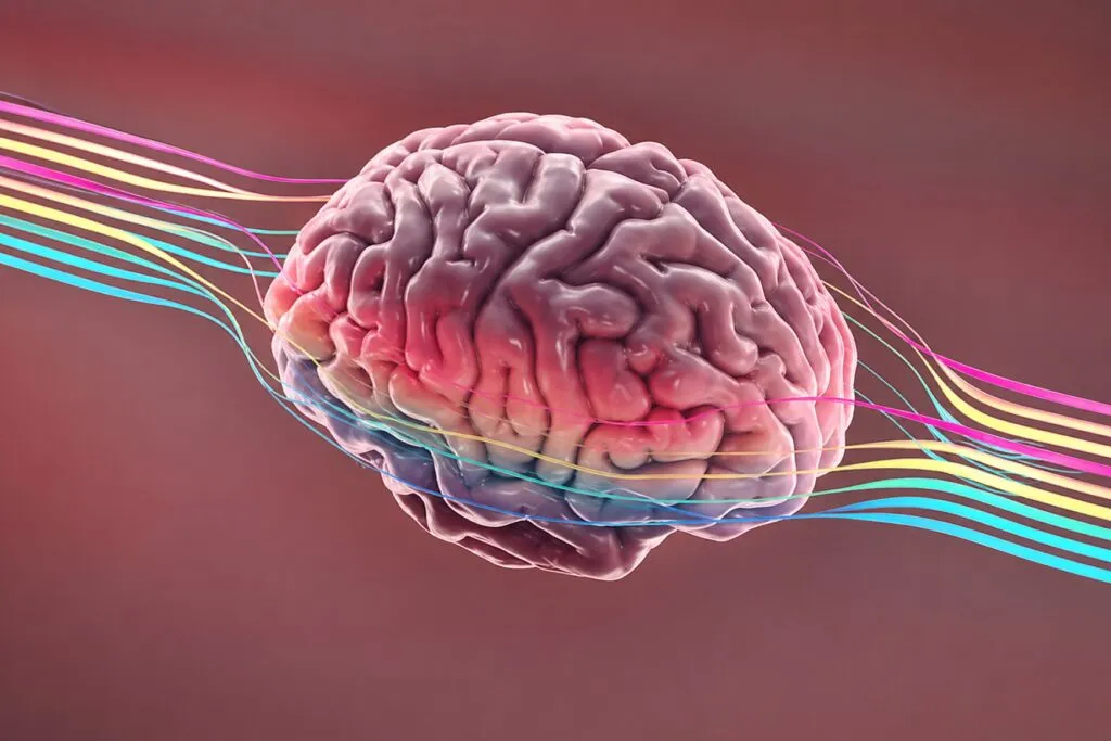 Aplicación Alzheimer voz analiza patrones del habla con inteligencia artificial para detectar deterioro cognitivo temprano