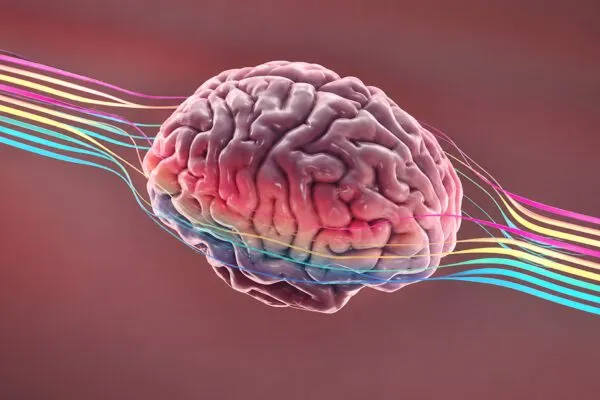 Aplicación Alzheimer voz analiza patrones del habla con inteligencia artificial para detectar deterioro cognitivo temprano