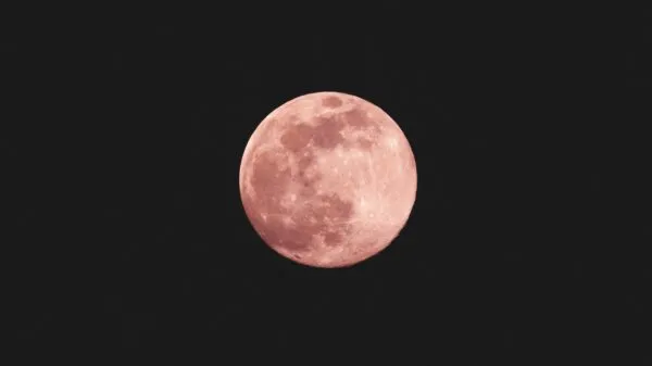 Fotos virales de la luna rosa captada en México durante abril con brillo intenso y fenómeno astronómico visible