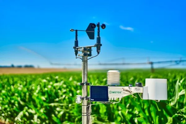 Máquinas digitales detectan plagas en China usando inteligencia artificial y sensores en cultivos agrícolas modernos