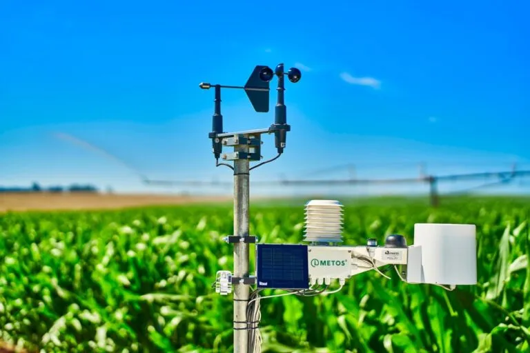 Máquinas digitales detectan plagas en China usando inteligencia artificial y sensores en cultivos agrícolas modernos