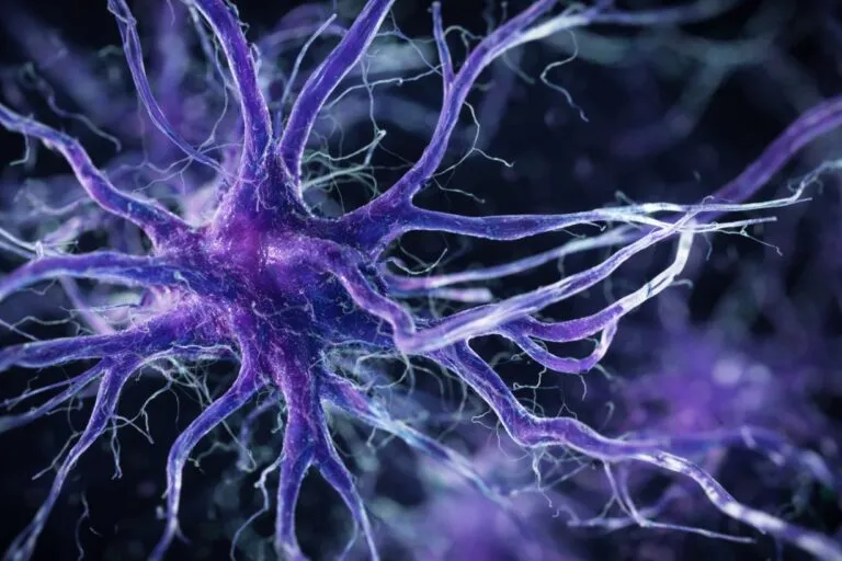 organoides cerebrales en laboratorio para estudiar enfermedades neurológicas y tratamientos avanzados