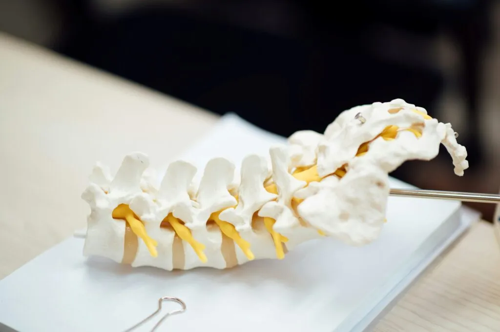 Células reprogramadas usadas en terapias regenerativas contra la artrosis de rodilla en España