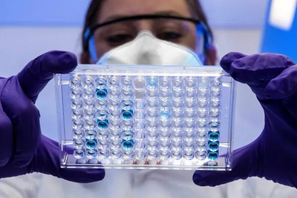 Científicos estudian bacterias rusas descubiertas en el Cáucaso y Altái con potencial para aplicaciones médicas y agrícolas