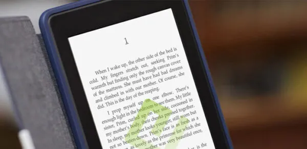 Lector electrónico mostrando archivos EPUB junto a una biblioteca digital y elementos tecnológicos