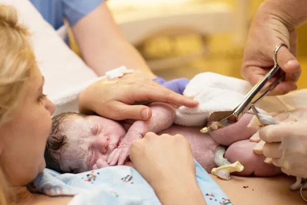 Representación médica del cordón umbilical conectando a un bebé con la placenta durante el embarazo
