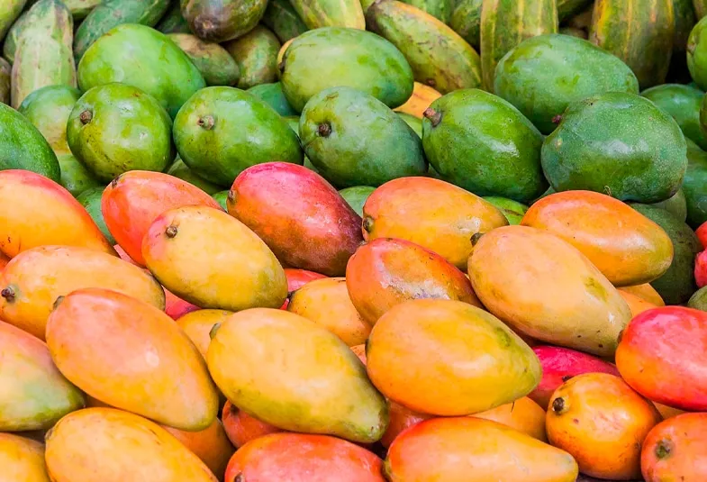 Semillas de mango africano junto a cápsulas nutricionales y tecnología de laboratorio para suplementos alimenticios.