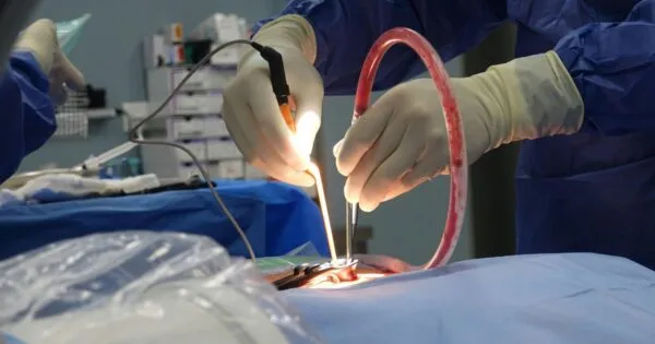 Calidad en insumos benefician al turismo médico: DIMAQ MTY.