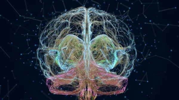 Representación de tejido neuronal cultivado conectado con electrodos para procesar señales táctiles