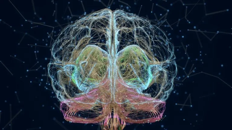Representación de tejido neuronal cultivado conectado con electrodos para procesar señales táctiles